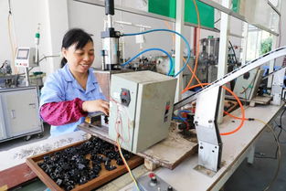 梁平节奏 集成电路产业集群高质量发展的创新引擎